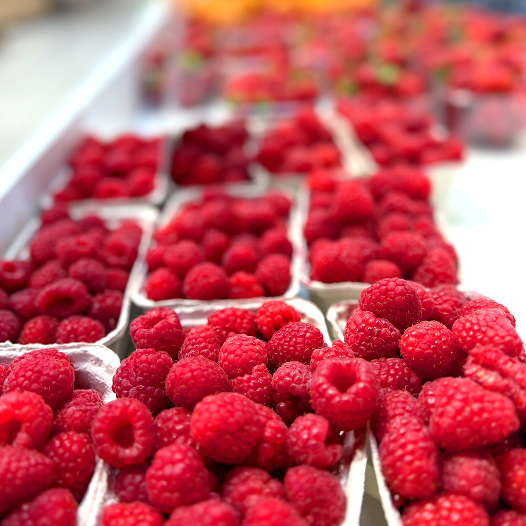 feed image